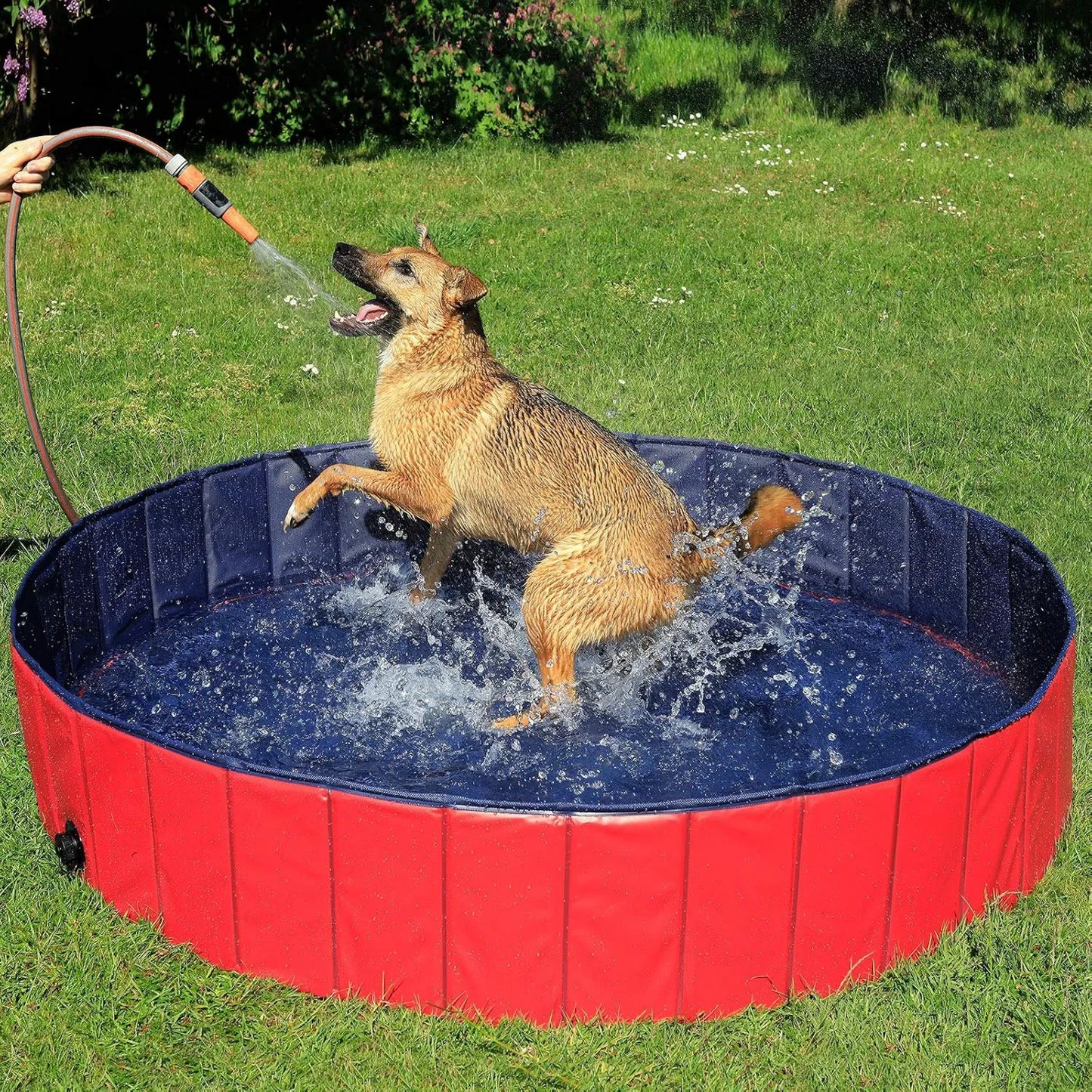 Piscina desmontable, diseño plegable, 160 cm, lionto Piscina plegable para perros bañera para perros piscina mascotas, Piscina para niños