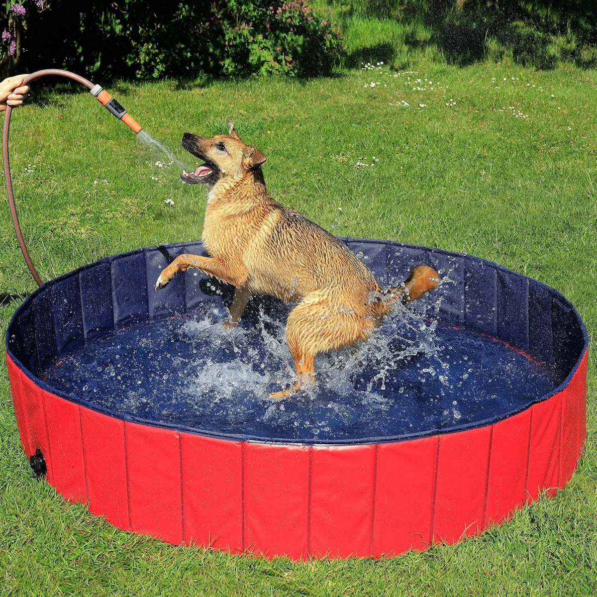 Piscina desmontable, diseño plegable, 160 cm, lionto Piscina plegable para perros bañera para perros piscina mascotas, Piscina para niños